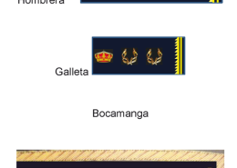 Divisa Inspector Alumno en Prácticas