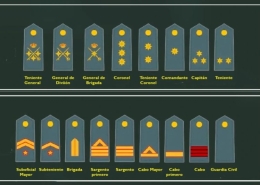 Guardia Civil: Rangos de la Guardia Civil y Escalas